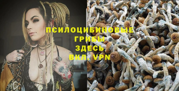 ешки Балахна